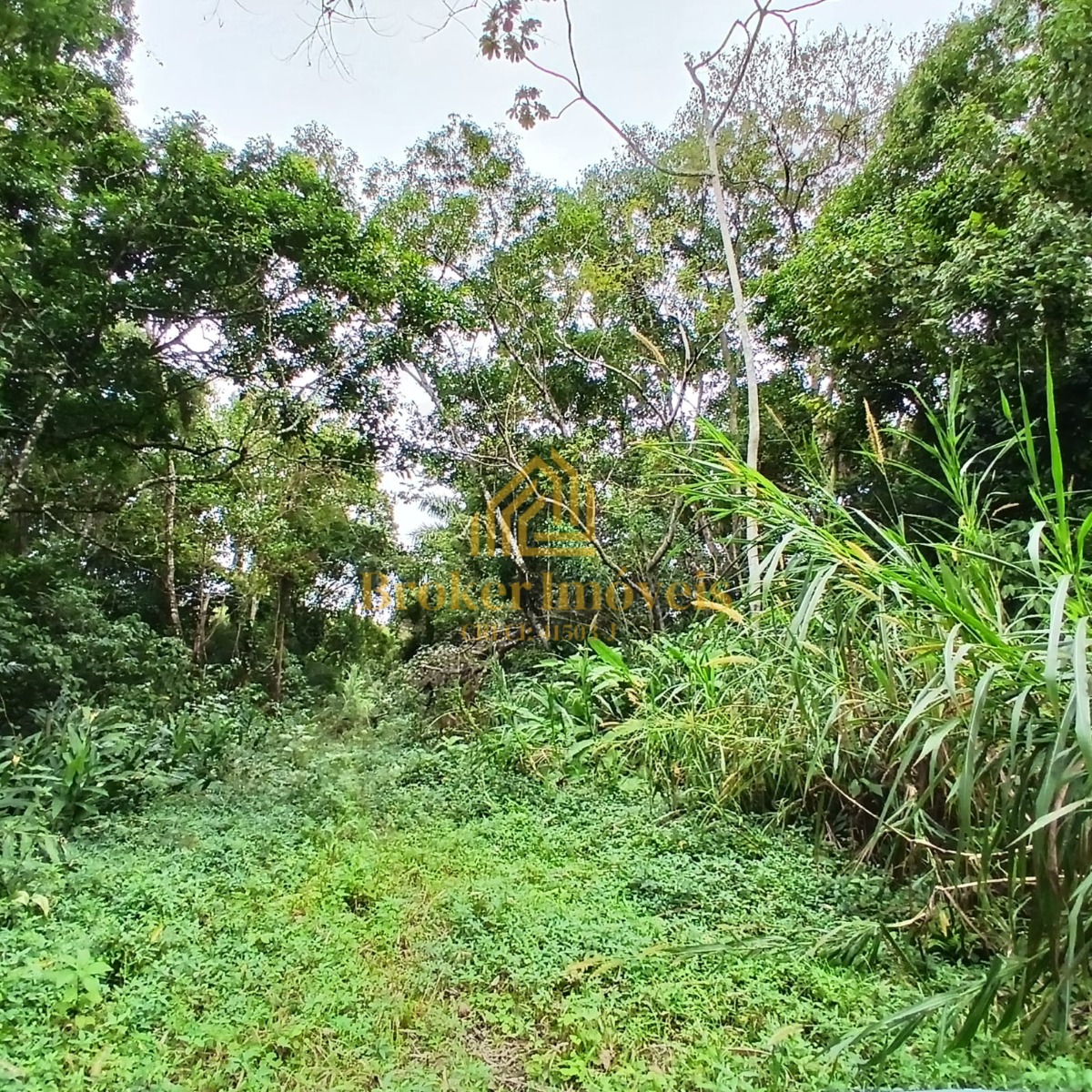 Oportunidade única no litoral norte de sp, 5 lotes de terren - foto 1