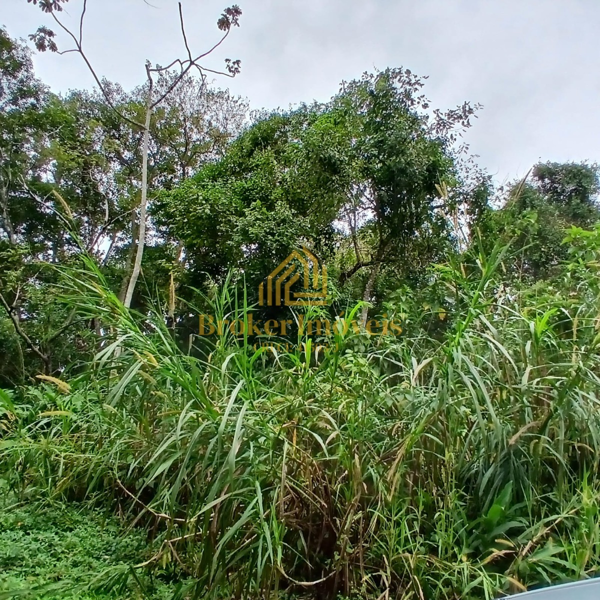 Oportunidade única no litoral norte de sp, 5 lotes de terren - foto 4