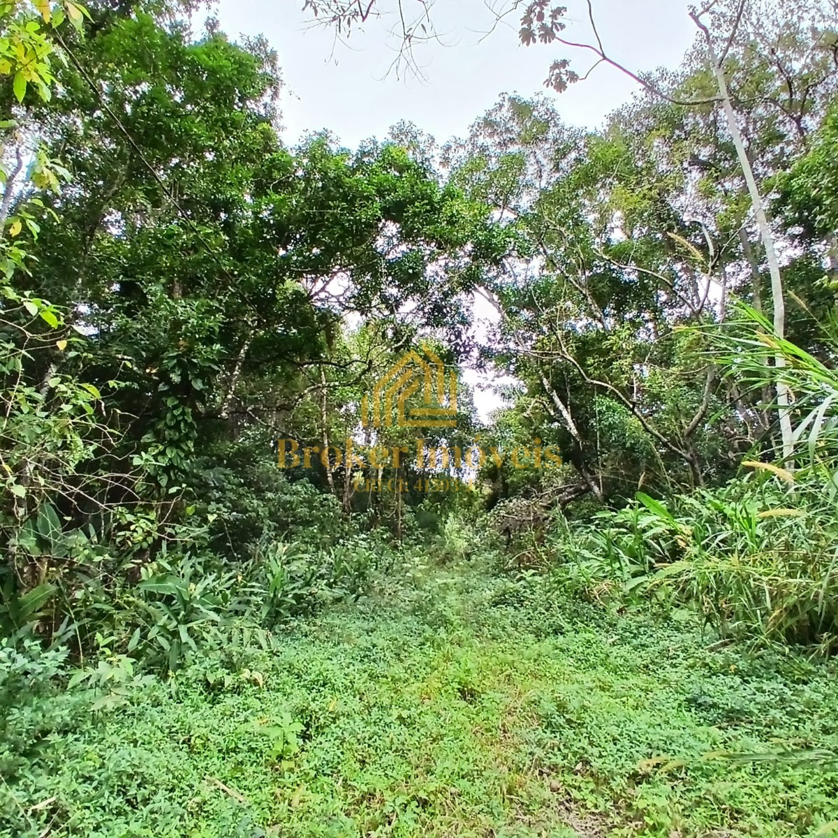 Oportunidade única no litoral norte de sp, 5 lotes de terren - foto 5