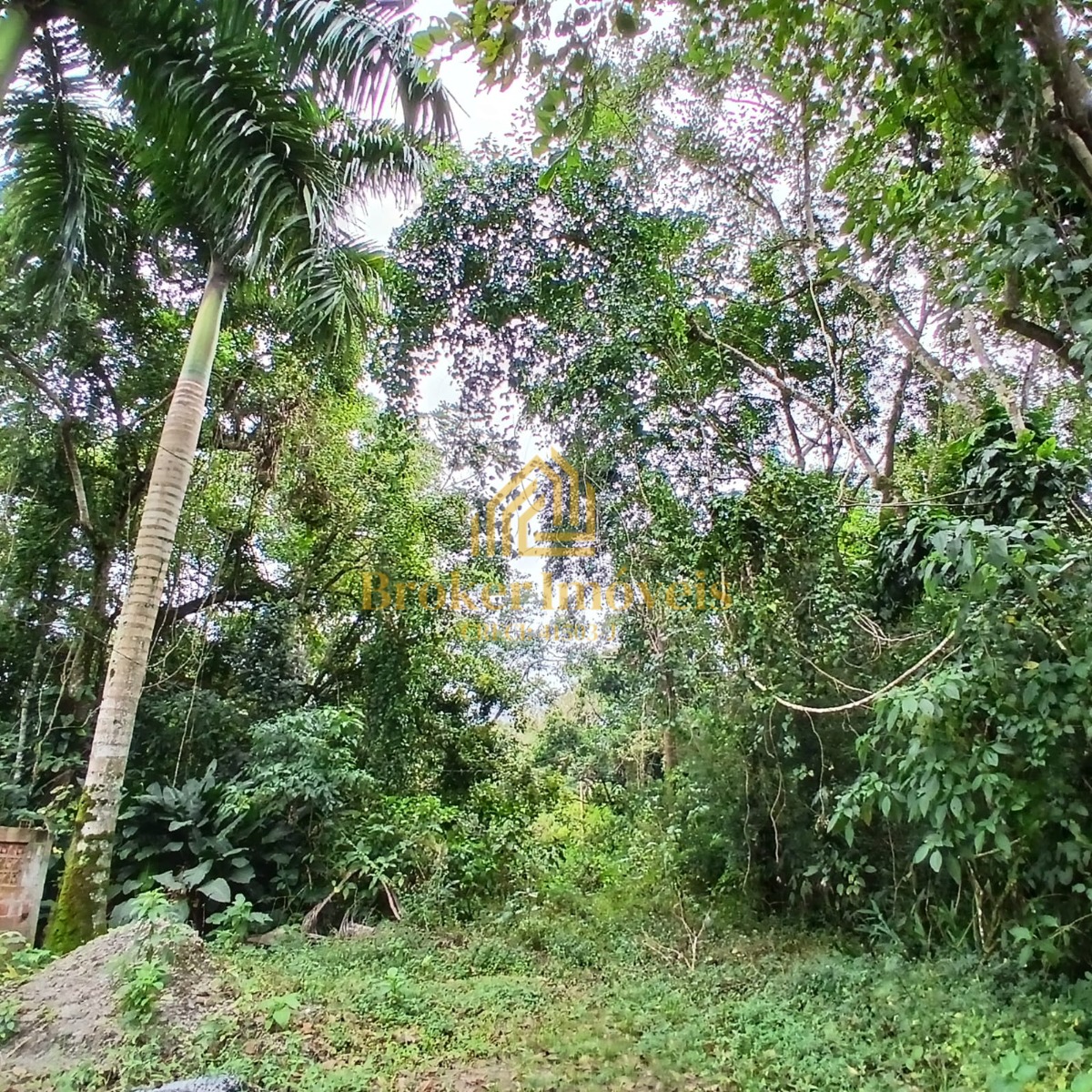 Oportunidade única no litoral norte de sp, 5 lotes de terren - foto 2